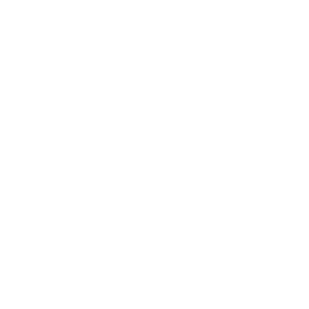 Transforming Towns Logo White